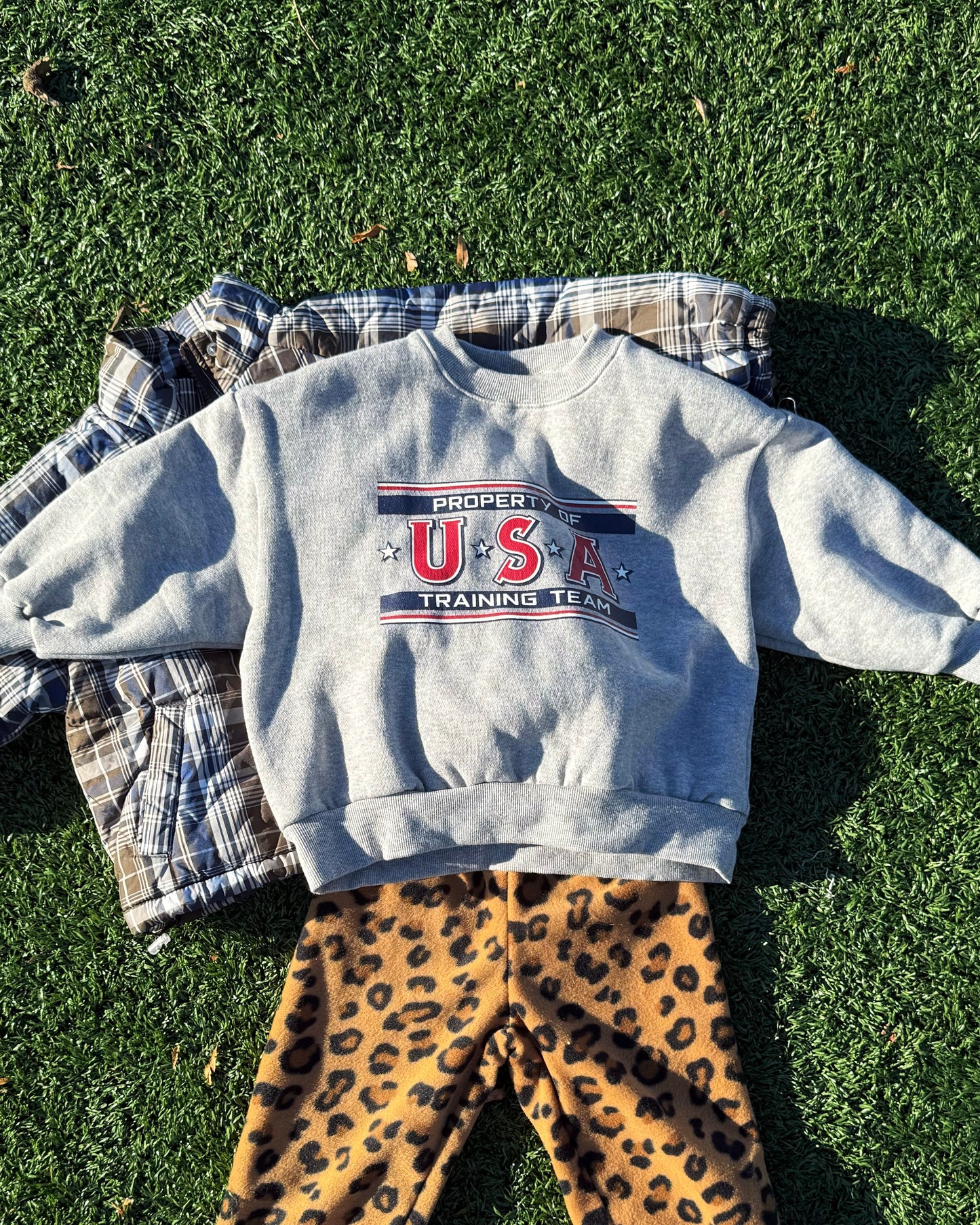 Gray sweatshirt with 'Property of USA Training Team' text, plaid padded winter jacket, and leopard print pants on grass.