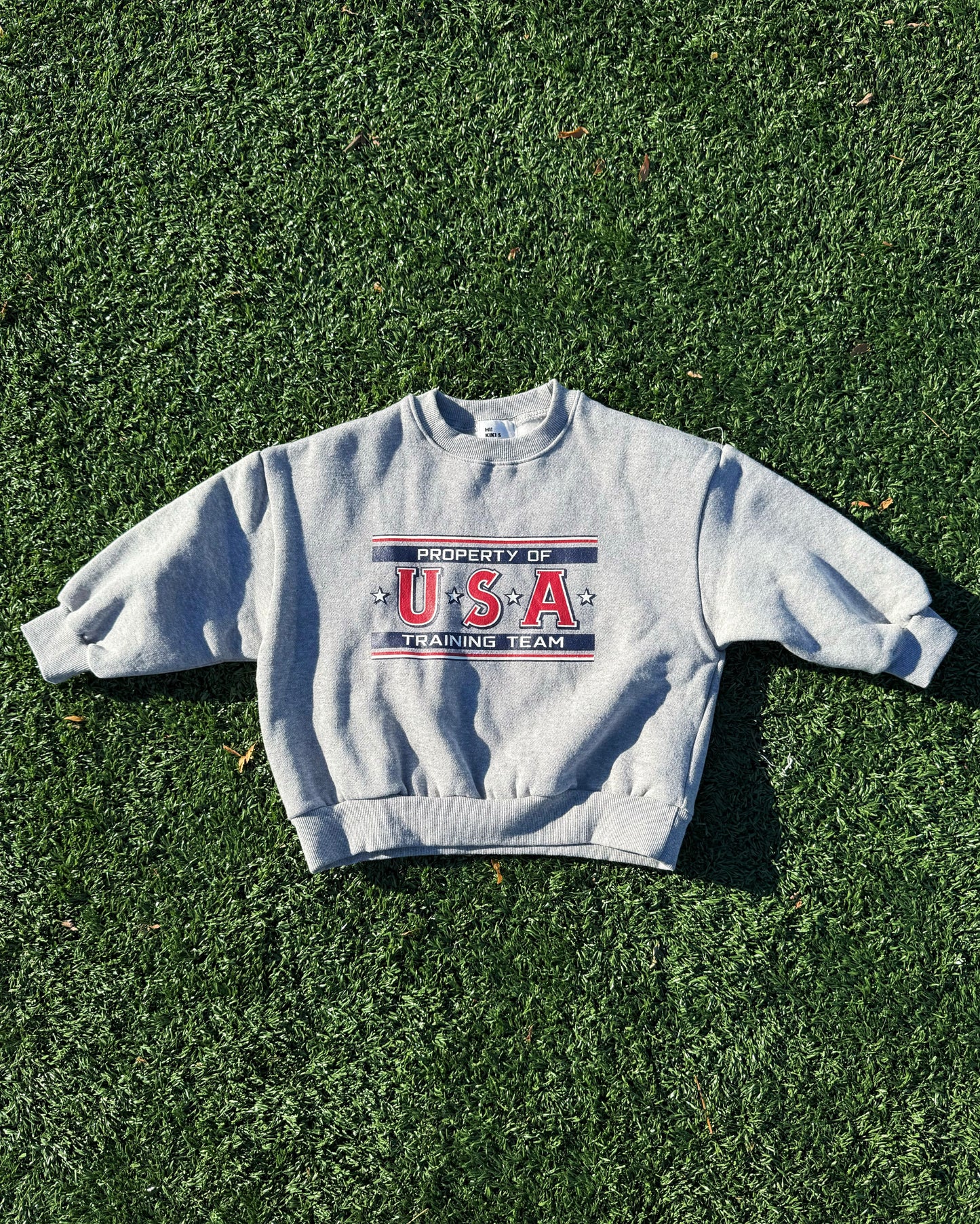 Toddler gray sweatshirt with 'Property of USA Training Team' text displayed on grass